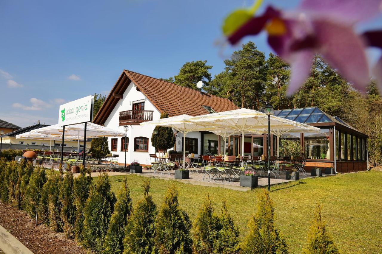 Lokal Genial Pension & Restaurant Beelitz Exterior foto